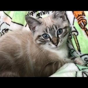 Meet your Posher, Valerie